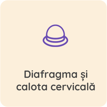 Diafragma-si-calota-cervicala